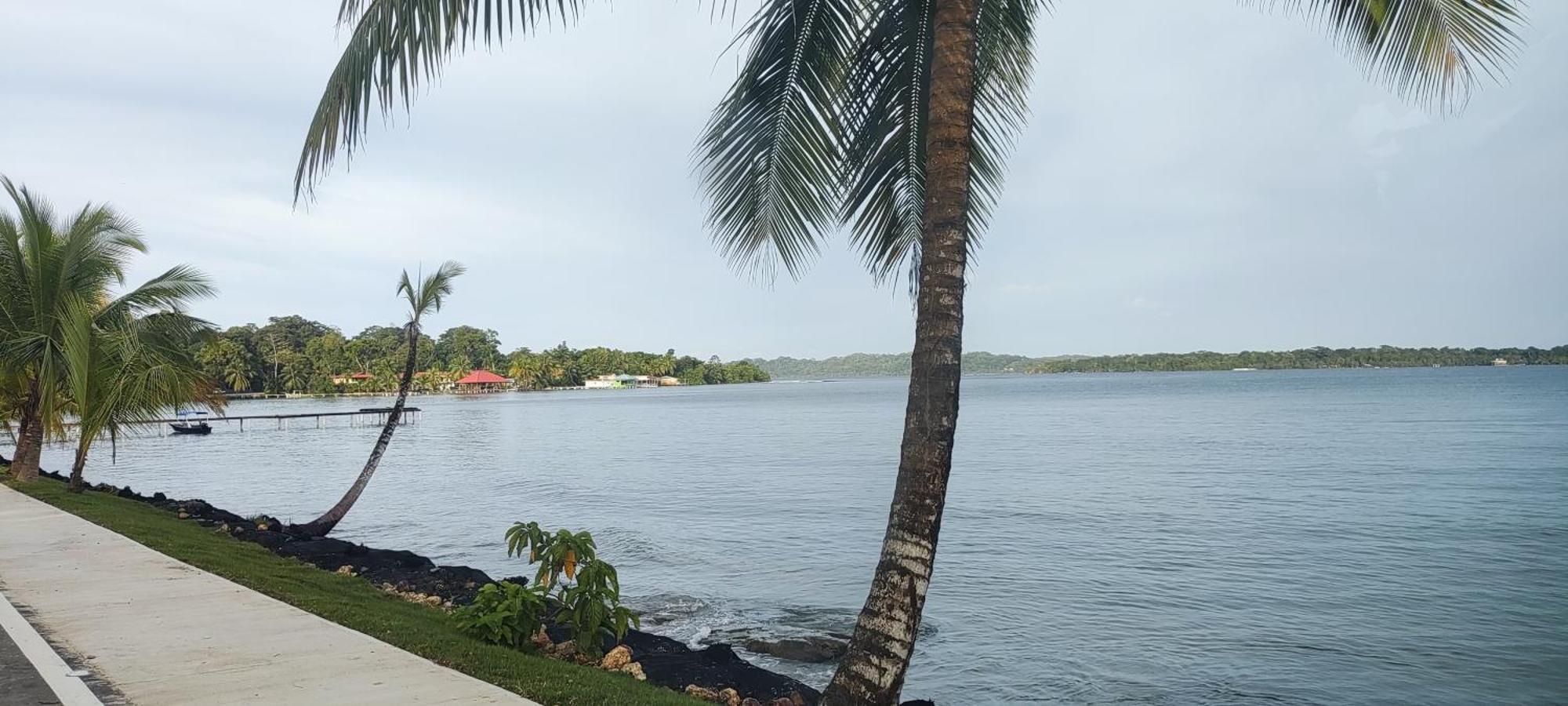 Bambu Lounge Bocas Hostel Бокас-дель-Торо Экстерьер фото