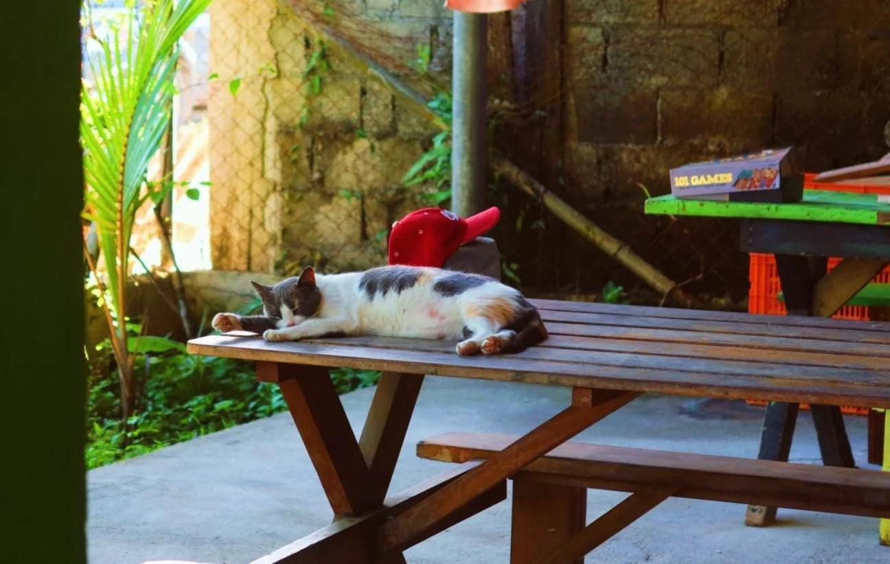 Bambu Lounge Bocas Hostel Бокас-дель-Торо Экстерьер фото