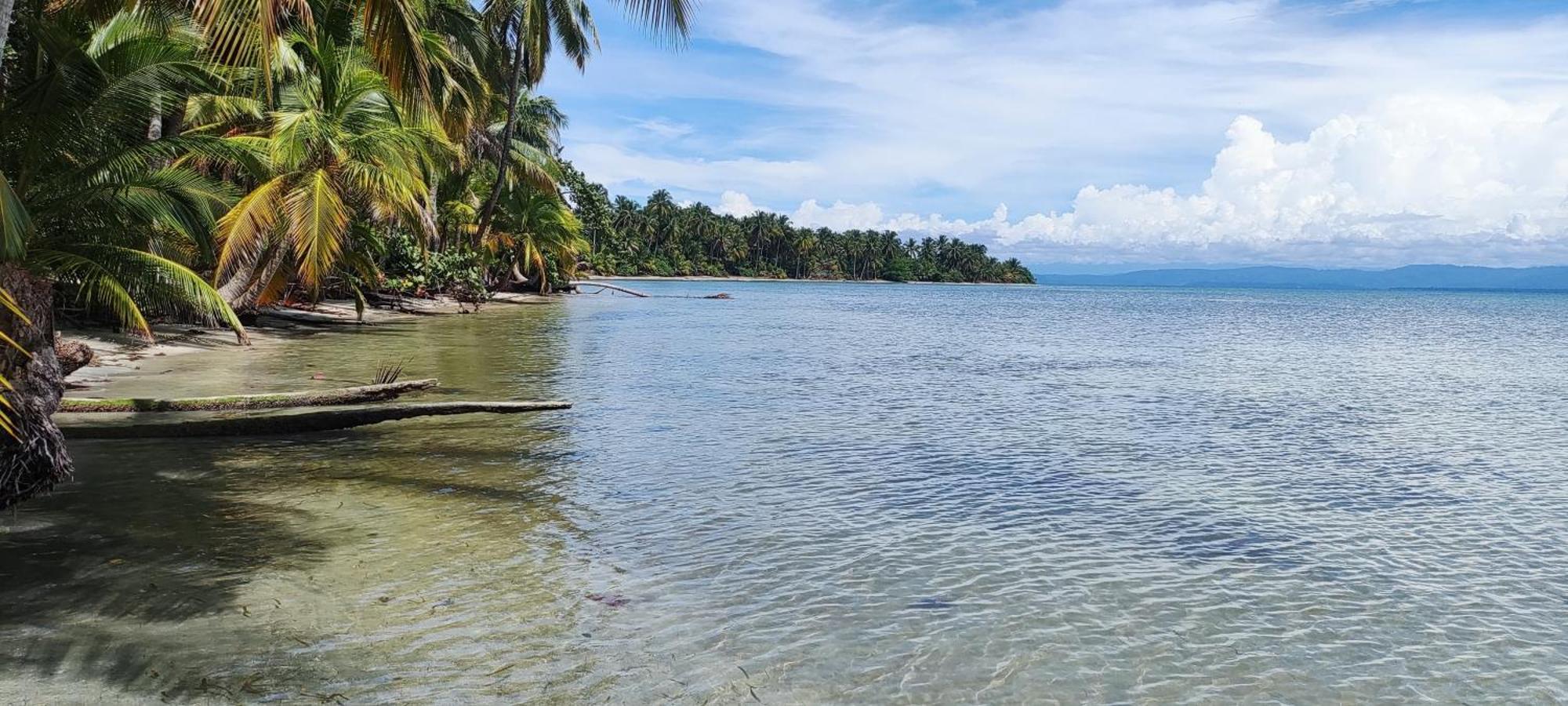 Bambu Lounge Bocas Hostel Бокас-дель-Торо Экстерьер фото